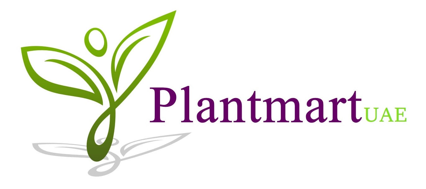 PlantmartUAE.com