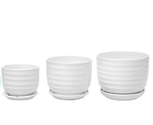 (3 PCS Set) Ceramic Pot (White) - ring design - PlantmartUAE.com