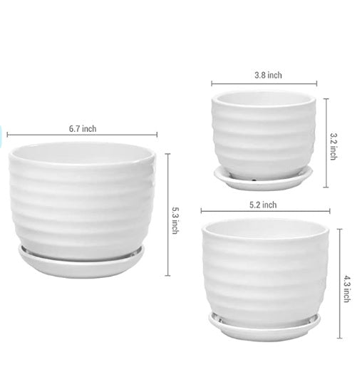 (3 PCS Set) Ceramic Pot (White) - ring design - PlantmartUAE.com