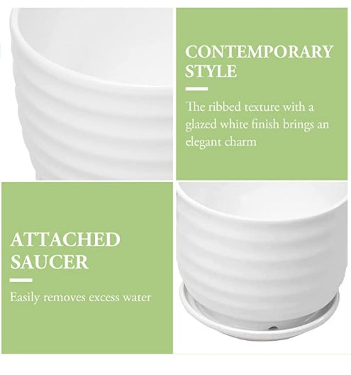 (3 PCS Set) Ceramic Pot (White) - ring design - PlantmartUAE.com