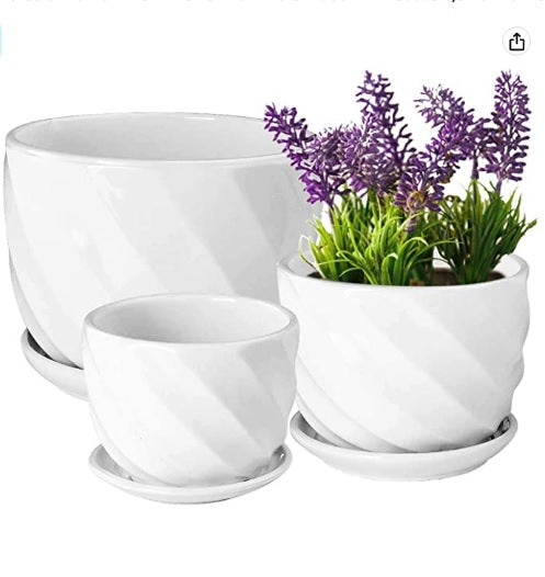 3 PCS Set Ceramic Pot (White) - PlantmartUAE.com