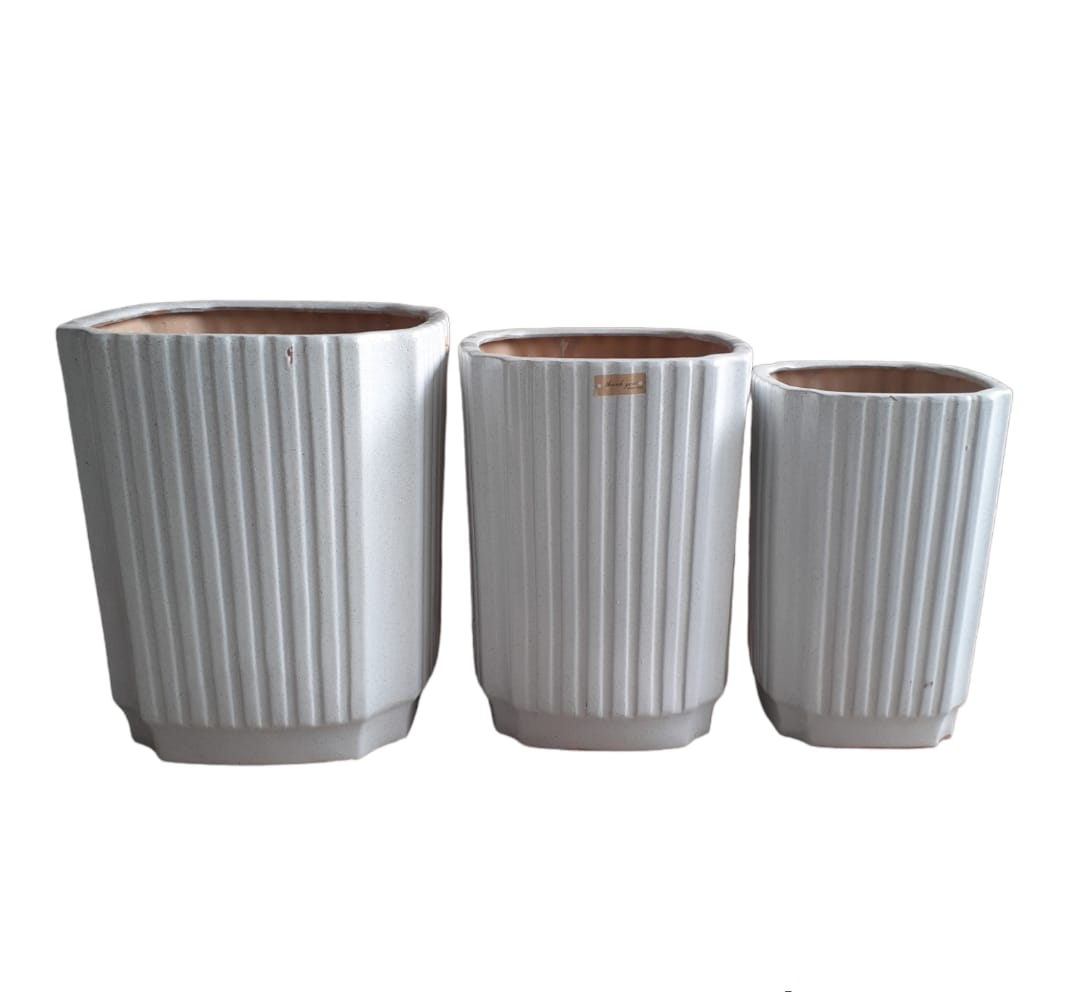 3-Piece White Ceramic Pot - PlantmartUAE.com