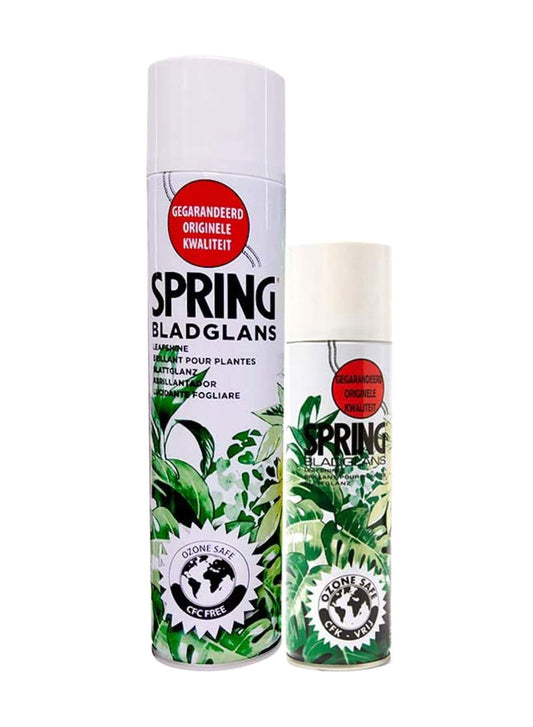 Spring Leafshine spray - PlantmartUAE.com