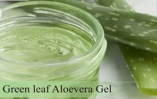 Fresh Aloe Vera Gel 100gm - PlantmartUAE.com