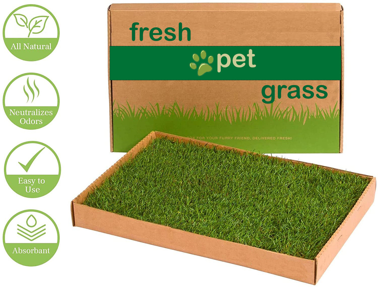 Fresh-Pet-GRASS (pet potty training pad) - PlantmartUAE.com