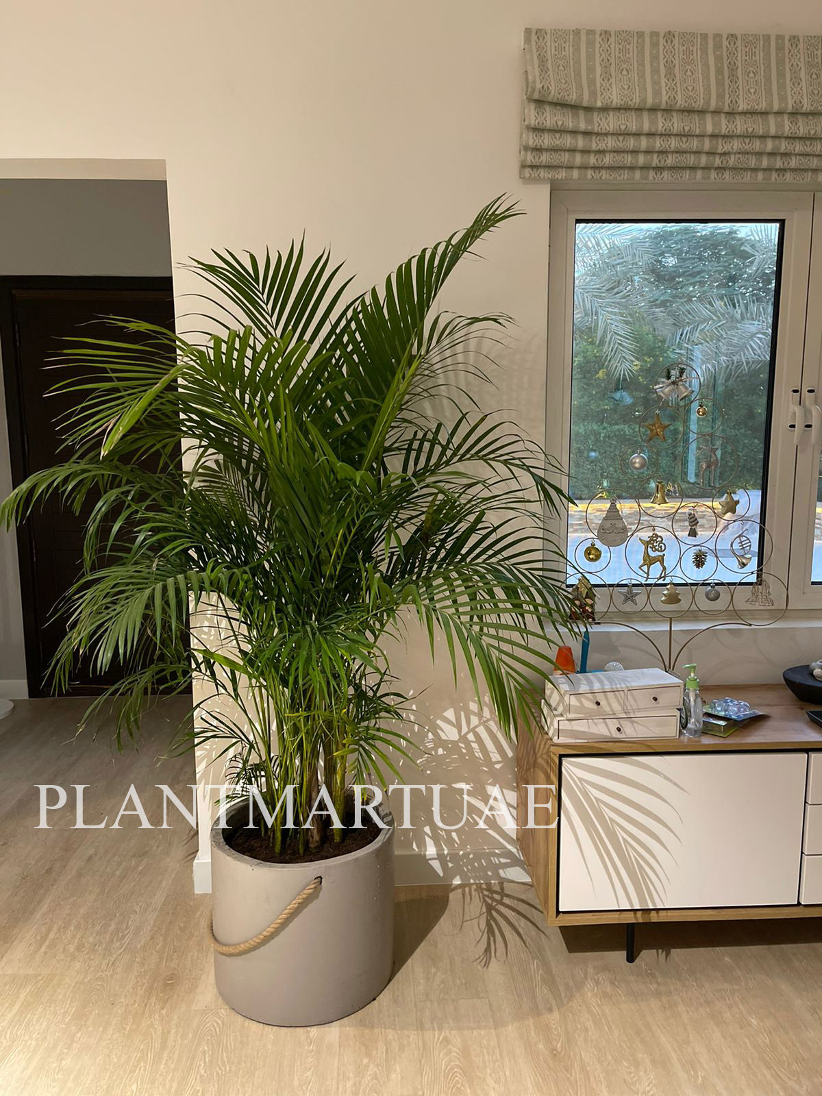 RELAX4LIFE Palma Areca Phoenix Artificiale 1,3 m, Palma Alta